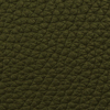 TAURILLON KAKI